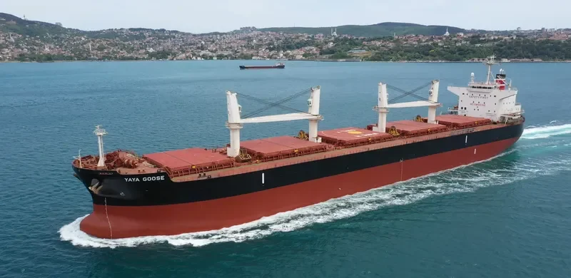 YAYA GOOSE Bulk Carrier IMO 9714745 photo 10