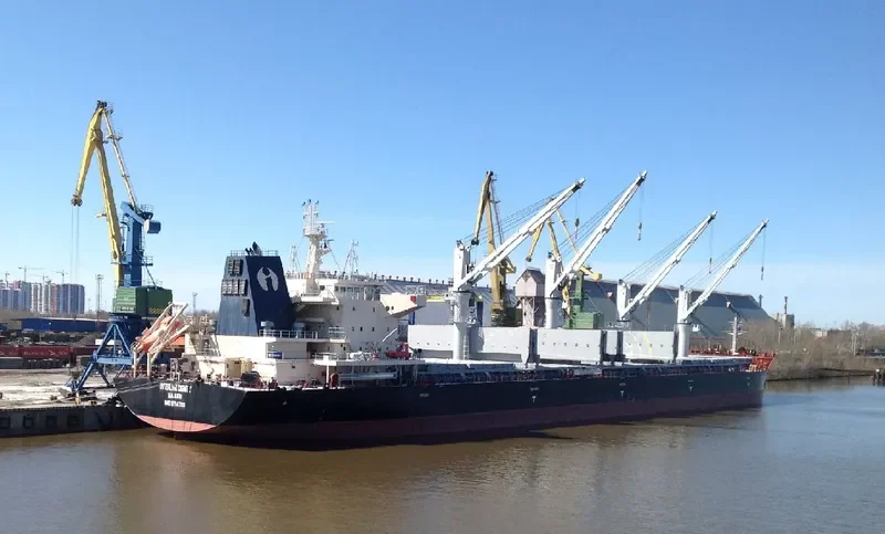 INTERLINK DIGNITY Bulk Carrier IMO 9714769
