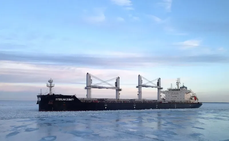 INTERLINK DIGNITY Bulk Carrier IMO 9714769 photo 2