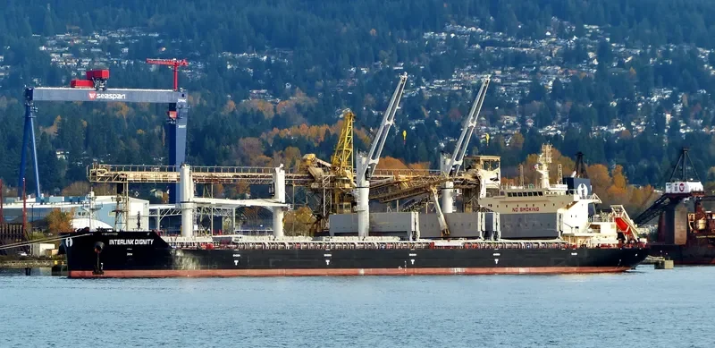 INTERLINK DIGNITY Bulk Carrier IMO 9714769 photo 3