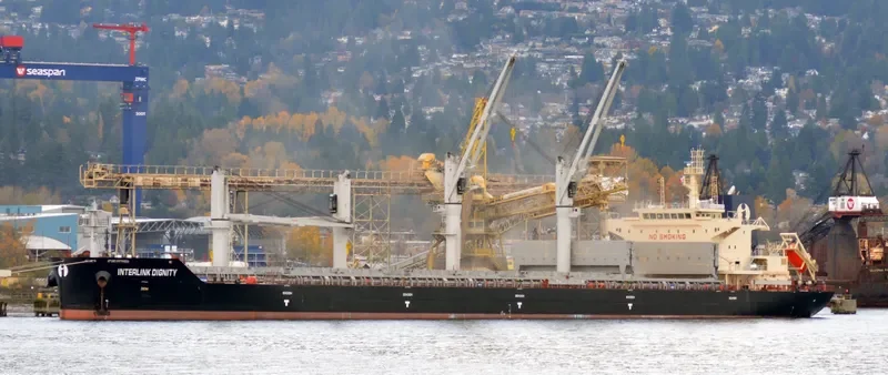 INTERLINK DIGNITY Bulk Carrier IMO 9714769 photo 4