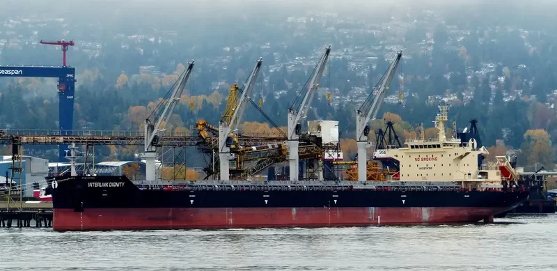 INTERLINK DIGNITY Bulk Carrier IMO 9714769 photo 5