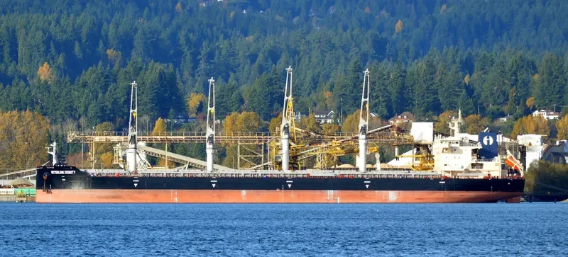 INTERLINK DIGNITY Bulk Carrier IMO 9714769 photo 6