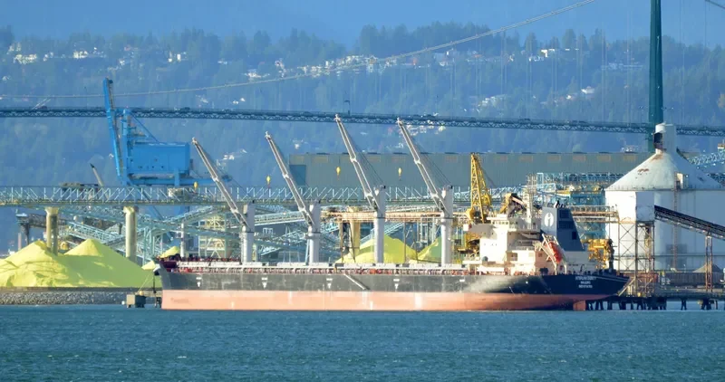 INTERLINK DIGNITY Bulk Carrier IMO 9714769 photo 7