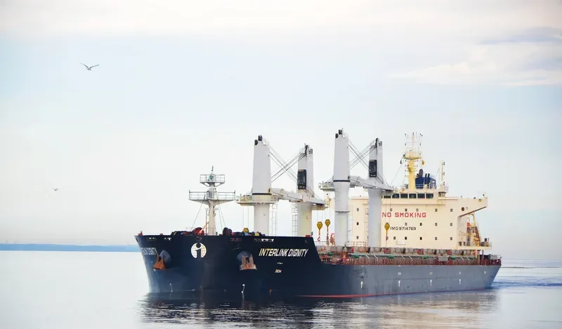INTERLINK DIGNITY Bulk Carrier IMO 9714769 photo 8