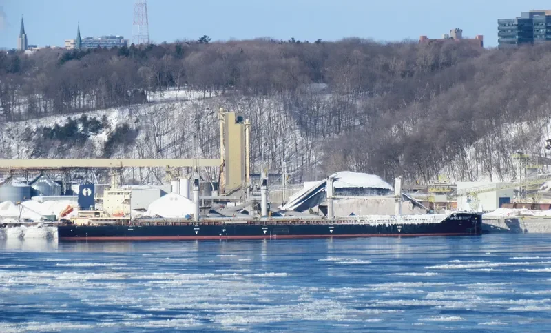 INTERLINK DIGNITY Bulk Carrier IMO 9714769 photo 9