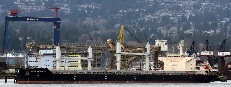 INTERLINK QUALITY Bulk Carrier IMO 9714783