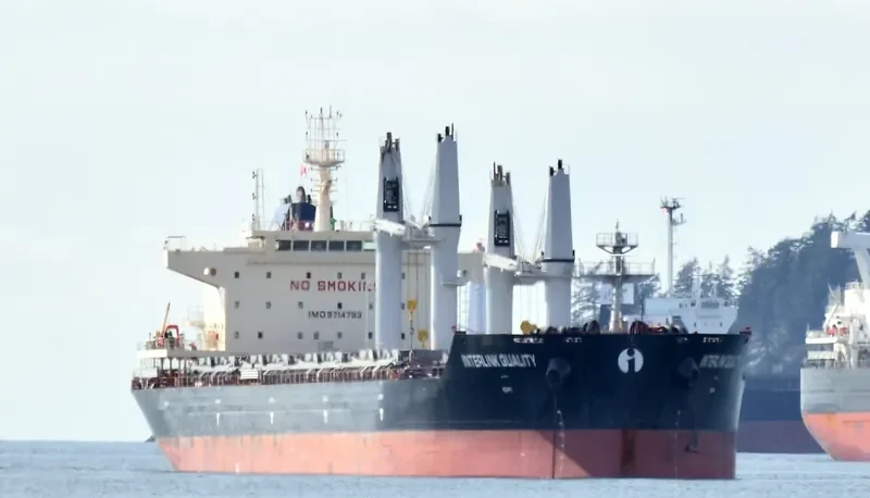 INTERLINK QUALITY Bulk Carrier IMO 9714783 photo 2