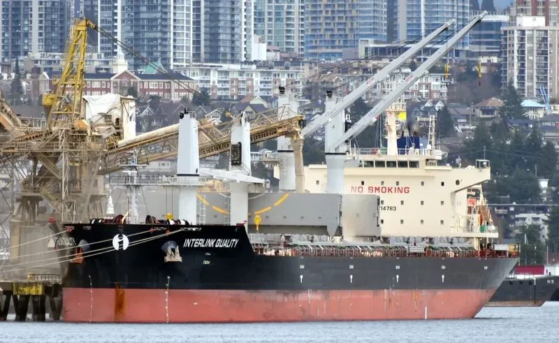 INTERLINK QUALITY Bulk Carrier IMO 9714783 photo 3