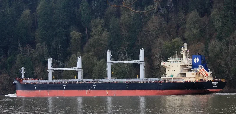 INTERLINK QUALITY Bulk Carrier IMO 9714783 photo 5
