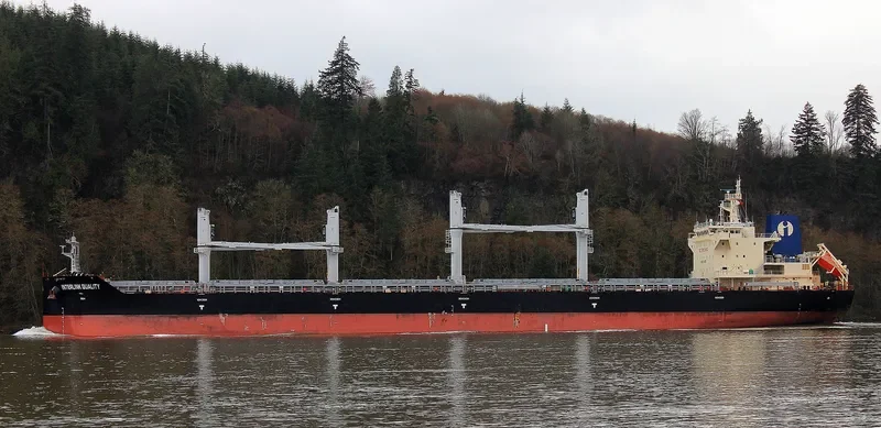 INTERLINK QUALITY Bulk Carrier IMO 9714783 photo 6
