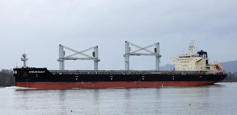 INTERLINK QUALITY Bulk Carrier IMO 9714783 photo 7