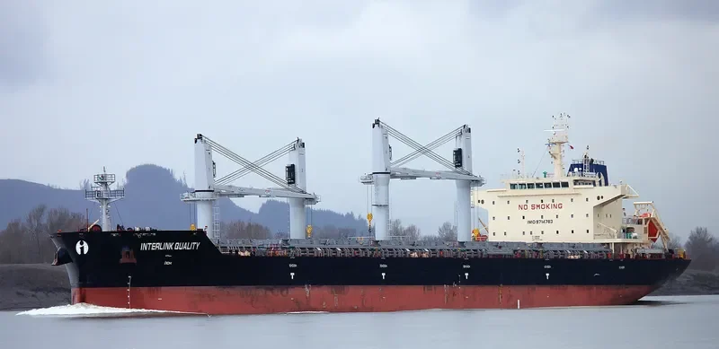 INTERLINK QUALITY Bulk Carrier IMO 9714783 photo 8