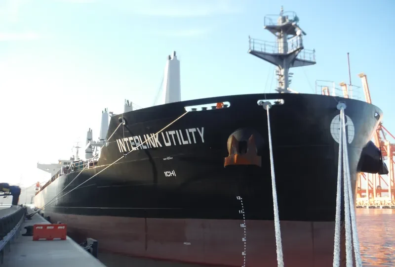 INTERLINK UTILITY Bulk Carrier IMO 9714795 photo 4