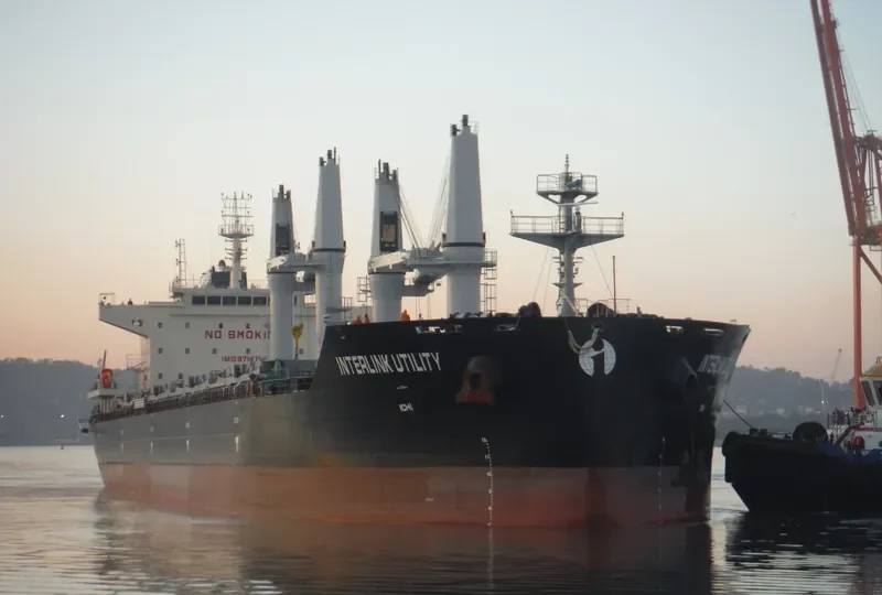 INTERLINK UTILITY Bulk Carrier IMO 9714795 photo 6