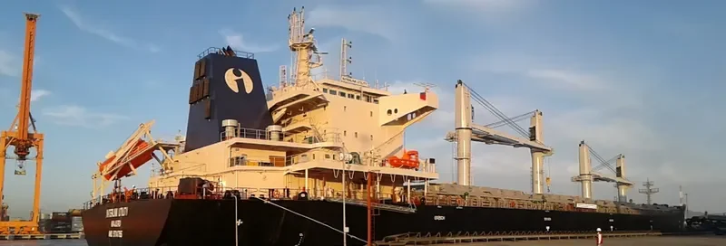 INTERLINK UTILITY Bulk Carrier IMO 9714795 photo 7