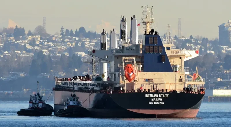 INTERLINK UTILITY Bulk Carrier IMO 9714795 photo 9