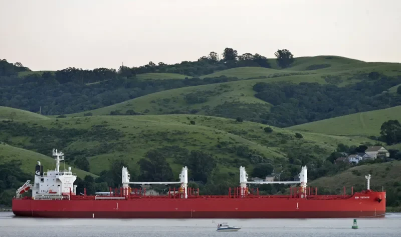 THOR NITNIRUND Bulk Carrier IMO 9714812 photo 2