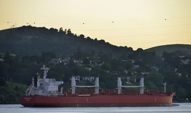 THOR NITNIRUND Bulk Carrier IMO 9714812 photo 3