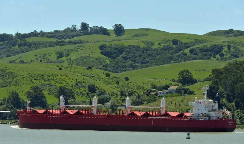 THOR NITNIRUND Bulk Carrier IMO 9714812 photo 4
