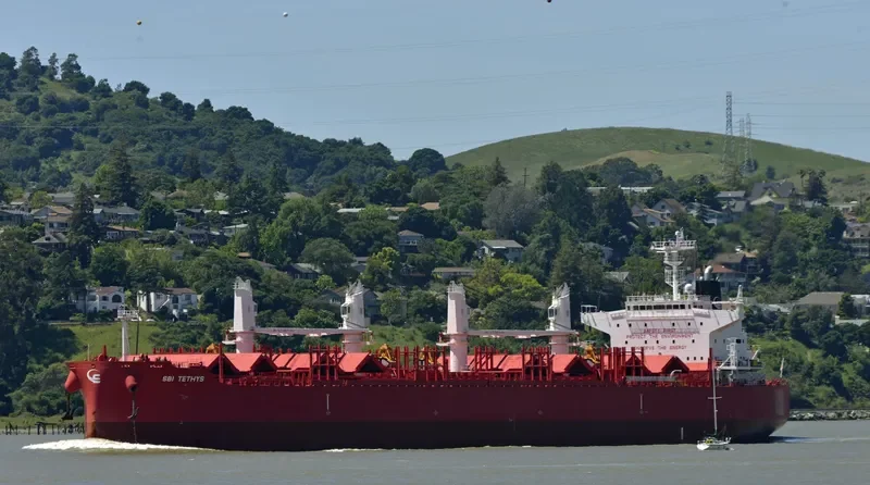 THOR NITNIRUND Bulk Carrier IMO 9714812 photo 5