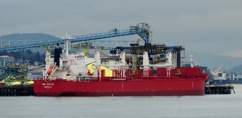 THOR NITNIRUND Bulk Carrier IMO 9714812 photo 7
