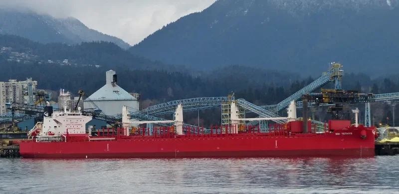 THOR NITNIRUND Bulk Carrier IMO 9714812 photo 8