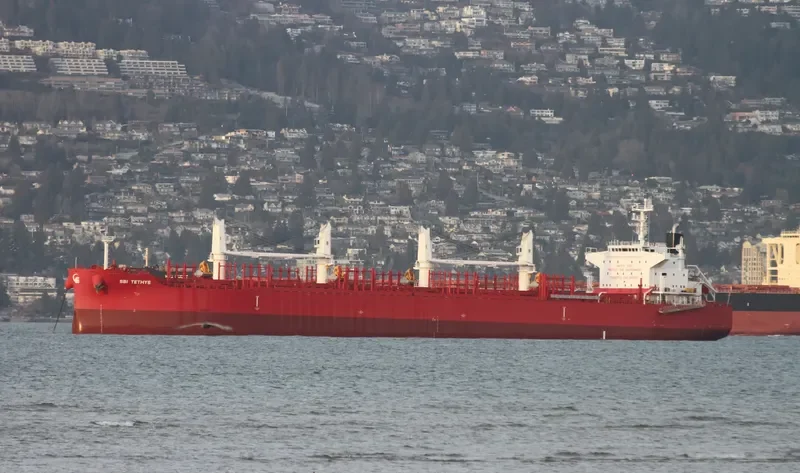 THOR NITNIRUND Bulk Carrier IMO 9714812 photo 9