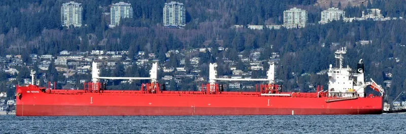 THOR NITNIRUND Bulk Carrier IMO 9714812 photo 10