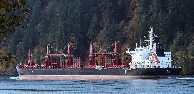 LINTAN Bulk Carrier IMO 9715206 photo 6