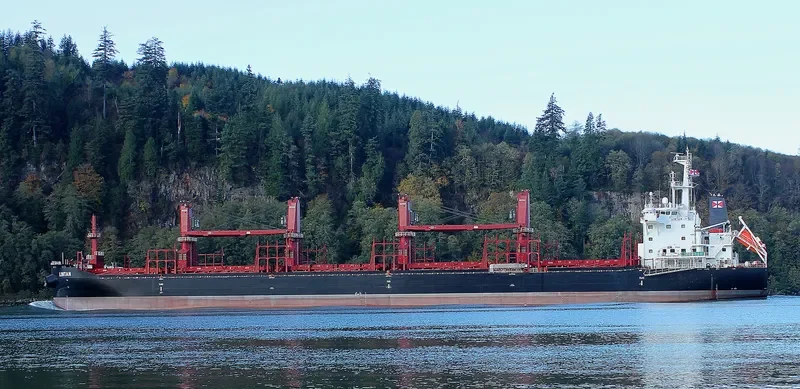 LINTAN Bulk Carrier IMO 9715206 photo 7