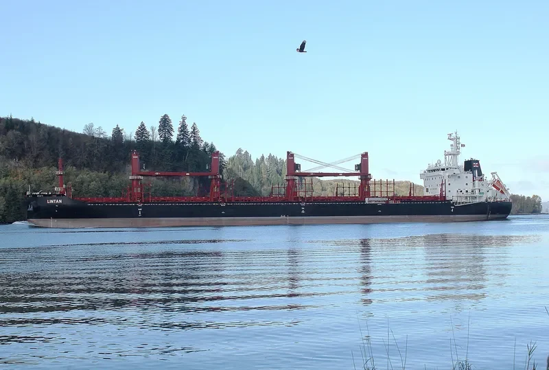 LINTAN Bulk Carrier IMO 9715206 photo 8