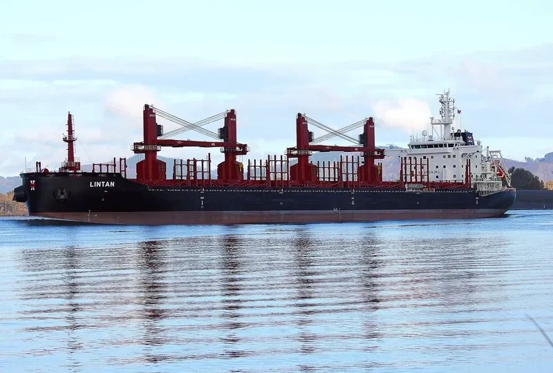 LINTAN Bulk Carrier IMO 9715206 photo 9