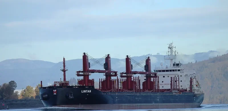LINTAN Bulk Carrier IMO 9715206 photo 10