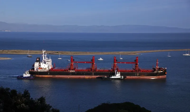 LUCHOW Bulk Carrier IMO 9715218 photo 2