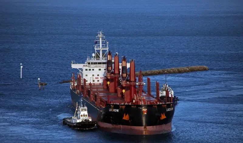 LUCHOW Bulk Carrier IMO 9715218 photo 4