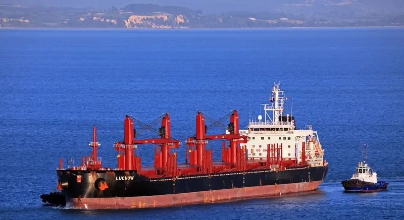 LUCHOW Bulk Carrier IMO 9715218 photo 5