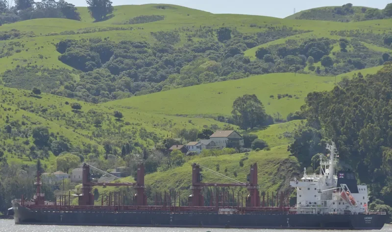 LUCHOW Bulk Carrier IMO 9715218 photo 7