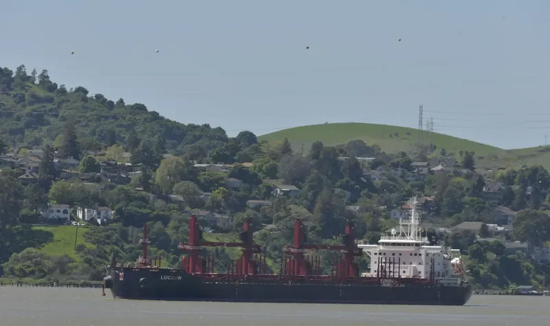 LUCHOW Bulk Carrier IMO 9715218 photo 8