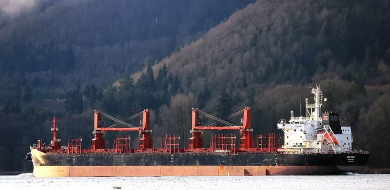 LUCHOW Bulk Carrier IMO 9715218 photo 9