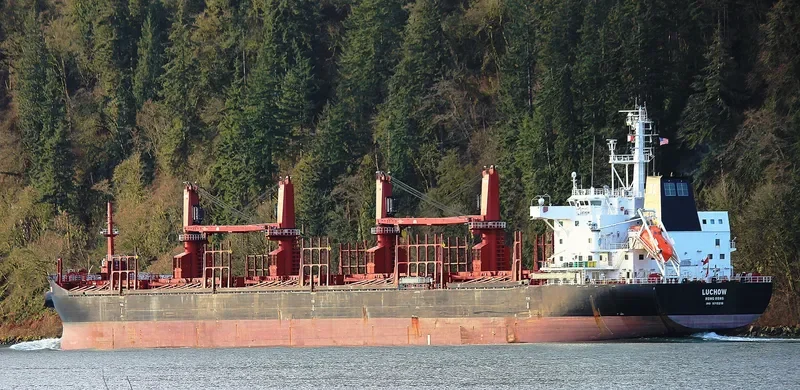 LUCHOW Bulk Carrier IMO 9715218 photo 10