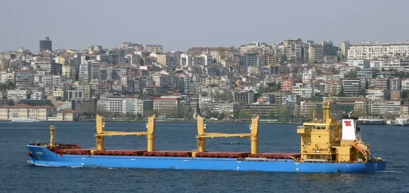 WL TOTMA Bulk Carrier IMO 9715270 photo 9