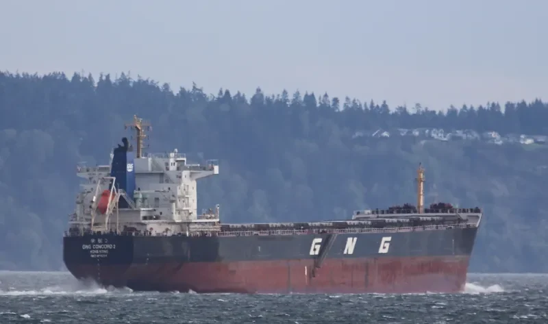 GNG CONCORD 2 Bulk Carrier IMO 9715311 photo 2