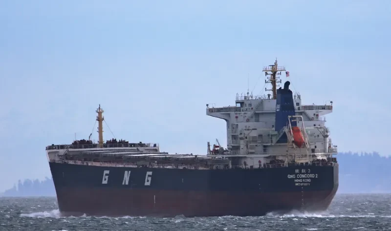 GNG CONCORD 2 Bulk Carrier IMO 9715311 photo 3