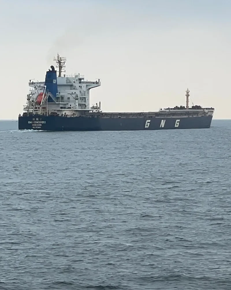 GNG CONCORD 2 Bulk Carrier IMO 9715311 photo 5