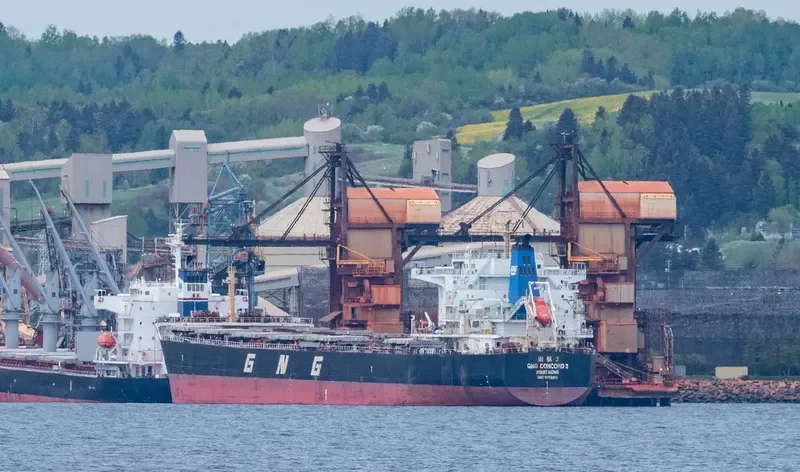 GNG CONCORD 2 Bulk Carrier IMO 9715311 photo 6