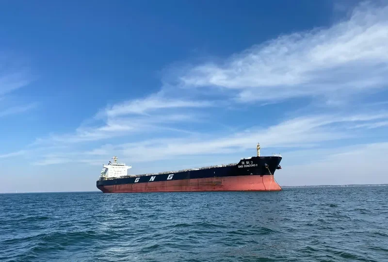 GNG CONCORD 2 Bulk Carrier IMO 9715311 photo 10