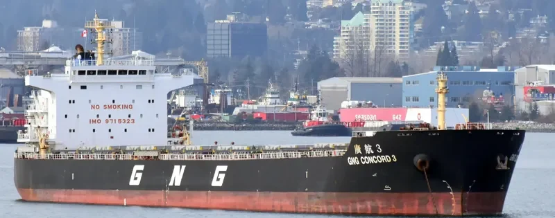 GNG CONCORD 3 Bulk Carrier IMO 9715323 photo 5