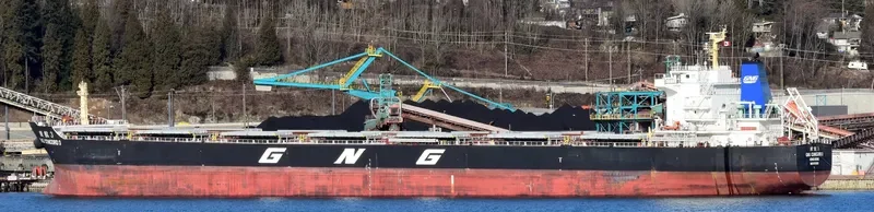 GNG CONCORD 3 Bulk Carrier IMO 9715323 photo 7