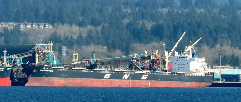 GNG CONCORD 3 Bulk Carrier IMO 9715323 photo 8
